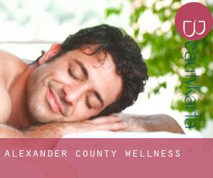 Alexander County wellness