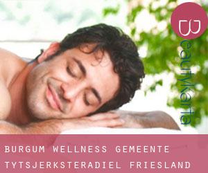 Burgum wellness (Gemeente Tytsjerksteradiel, Friesland)