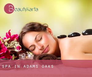 Spa in Adams Oaks