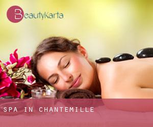 Spa in Chantemille