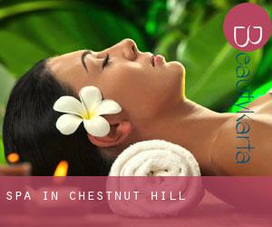 Spa in Chestnut Hill