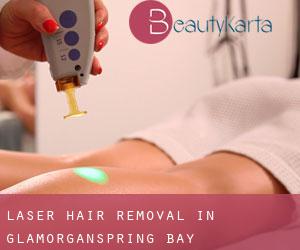 Laser Hair removal in Glamorgan/Spring Bay