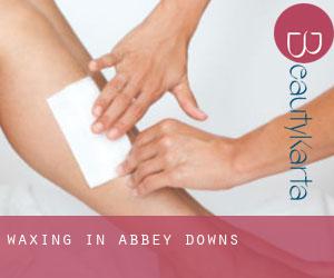 Waxing in Abbey Downs