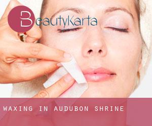 Waxing in Audubon Shrine