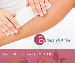 Waxing in Barley Lane