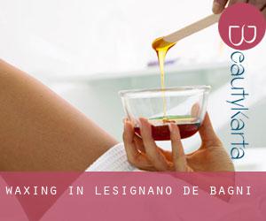 Waxing in Lesignano de' Bagni