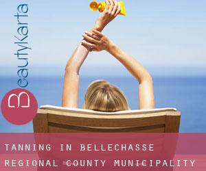Tanning in Bellechasse Regional County Municipality