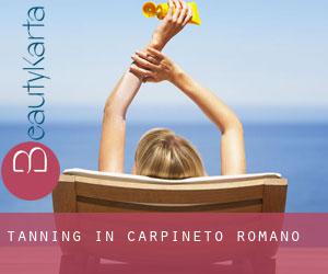 Tanning in Carpineto Romano