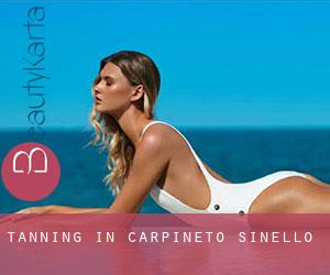 Tanning in Carpineto Sinello