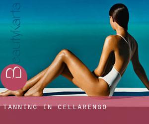 Tanning in Cellarengo