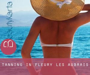 Tanning in Fleury-les-Aubrais