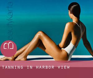 Tanning in Harbor View