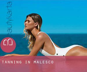 Tanning in Malesco