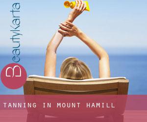 Tanning in Mount Hamill