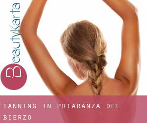 Tanning in Priaranza del Bierzo