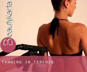Tanning in Terenzo