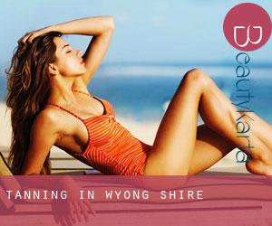 Tanning in Wyong Shire