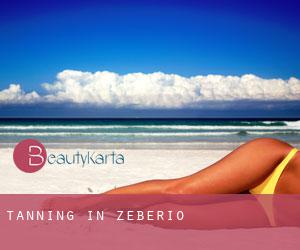 Tanning in Zeberio