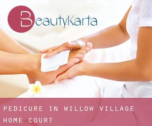 Pedicure in Willow Village Home Court