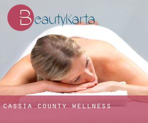 Cassia County wellness