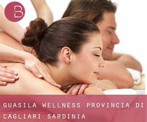 Guasila wellness (Provincia di Cagliari, Sardinia)