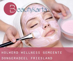 Holwerd wellness (Gemeente Dongeradeel, Friesland)