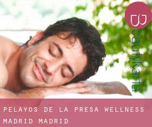 Pelayos de la Presa wellness (Madrid, Madrid)