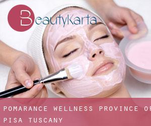 Pomarance wellness (Province of Pisa, Tuscany)