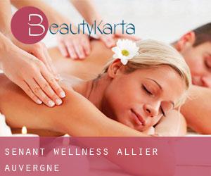 Senant wellness (Allier, Auvergne)