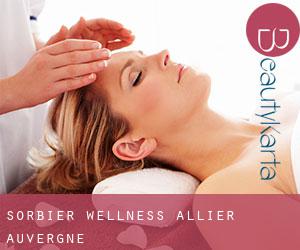 Sorbier wellness (Allier, Auvergne)