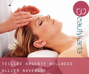 Teillet-Argenty wellness (Allier, Auvergne)