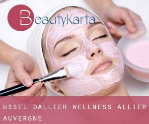 Ussel-d'Allier wellness (Allier, Auvergne)