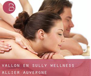 Vallon-en-Sully wellness (Allier, Auvergne)