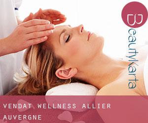 Vendat wellness (Allier, Auvergne)